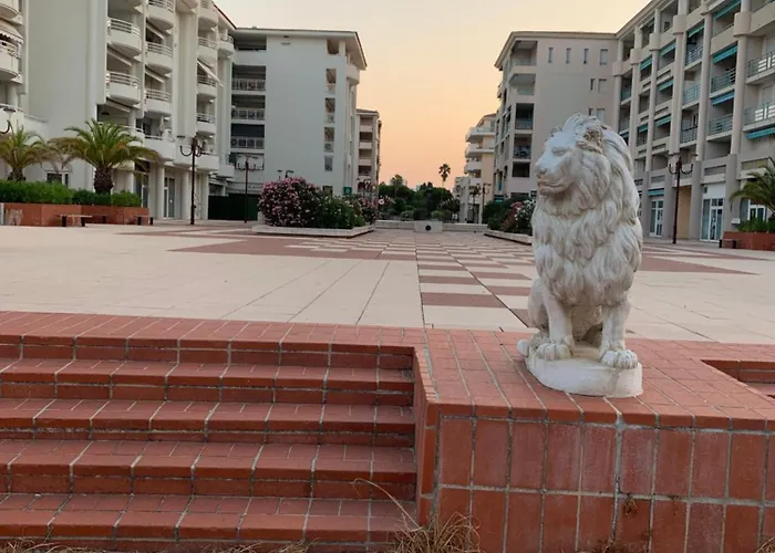 Daire Grand 2 Pieces Climatise Dans De Standing Avec Vue Piscine Au Bord De La Antibes
